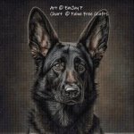 Big Eared Boy (German Shepherd) (image for) Big Eared Boy (German Shepherd)